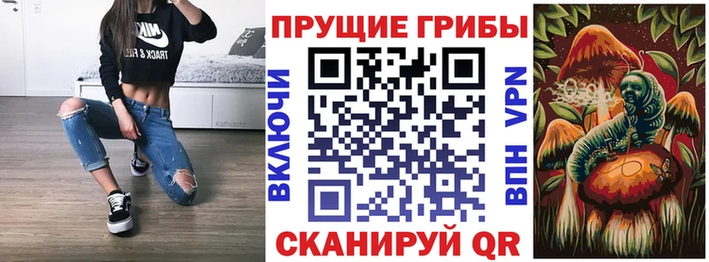 Псилоцибиновые грибы мицелий  где найти наркотики  Тутаев 